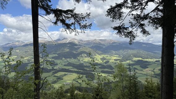 Photo de Markus F. Schaffer le long du parcours
