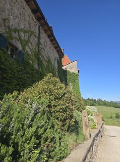 Foto von Michel Kennel entlang der Tour