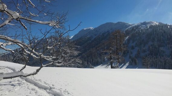 Sohlenalm