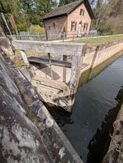 Foto de Speedy Gonzales a lo largo del recorrido