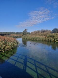 Photo de Violet le long du parcours