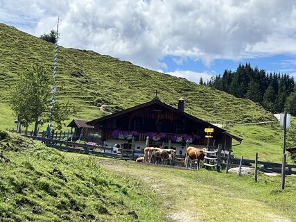 Foto von Veronika Schulte entlang der Tour