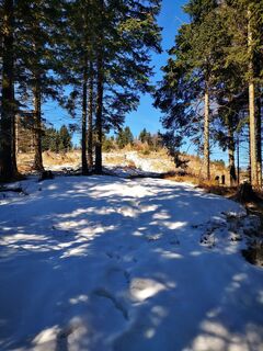 Fotografija s spletne strani 3d63 ru^^n3r na poti