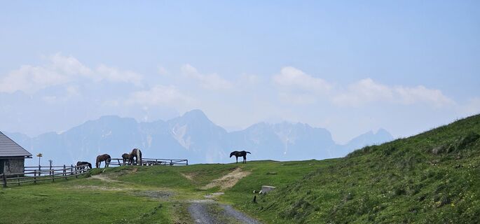 Photo de Nico le long du parcours