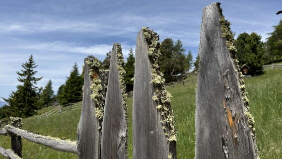 Foto von Karsten Mydlak entlang der Tour