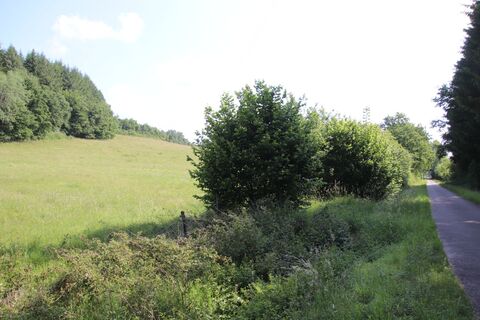 Fotografia z Günter Kleutsch na trase