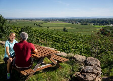 Kamptalwarte am Heiligenstein "Wein- und Wasserrunde"