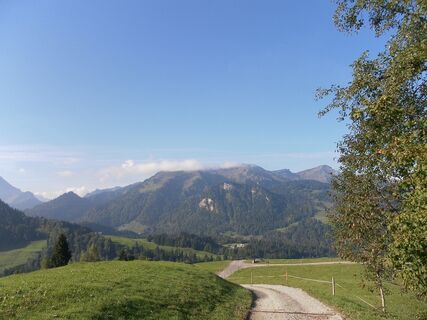 Blick auf die Winterstaude