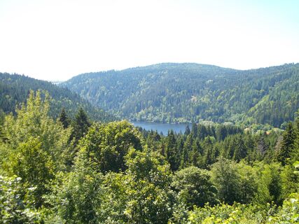 Albtal mit Stausee