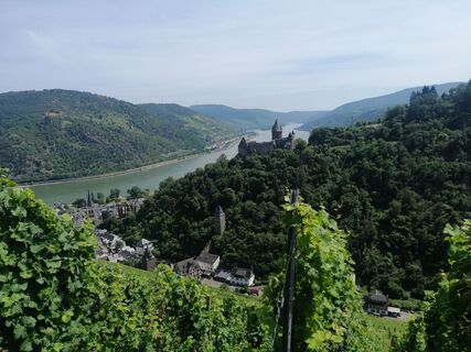 Fotó a Eifeleddy honlapról a túra során