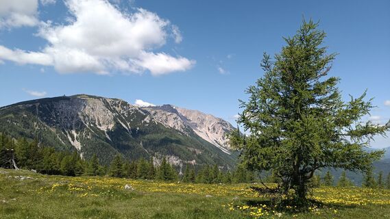 Foto von Bergpirat entlang der Tour