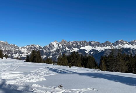 Aussicht Tannenheim-Prodalp