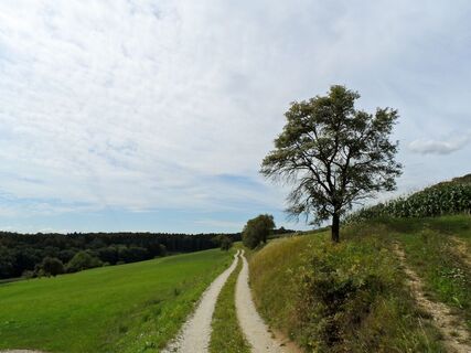 Marterlweg