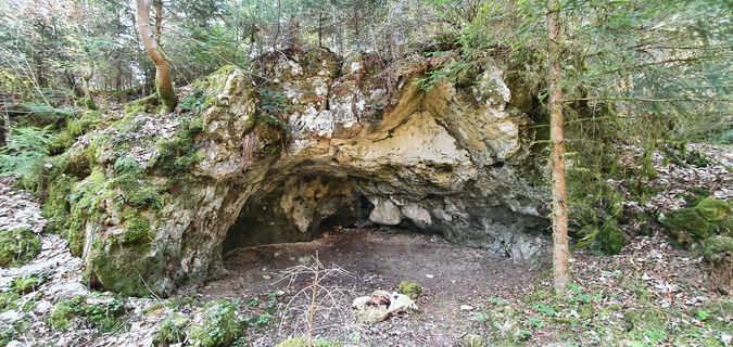 Kühstellenhöhle Winterlingen