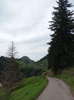 Foto de Aner a lo largo del recorrido