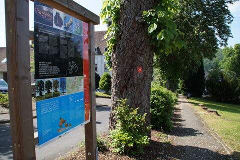 Infotafel am Baumweg