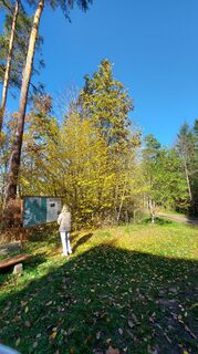 Fotografie de la Tina Thommesen de-a lungul turului