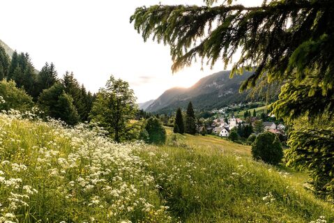 Blick auf Bad Bleiberg