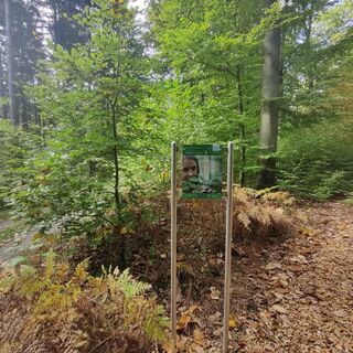 Station am Waldbadepfad Assamstadt