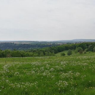 Metzlinschwanderhof