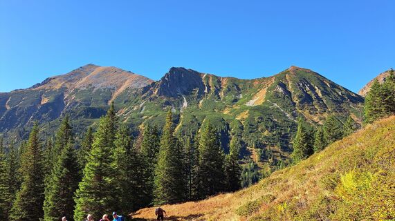 Photo de Anna Wilding le long du parcours