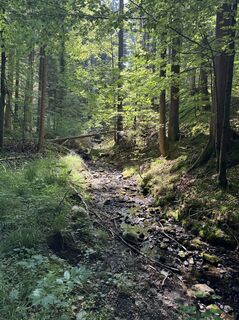 Photo de Denise Miller le long du parcours
