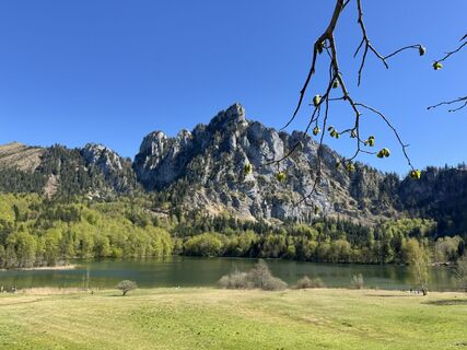 Fotografija s spletne strani Bedy na poti