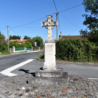 Entre vignes et marais1