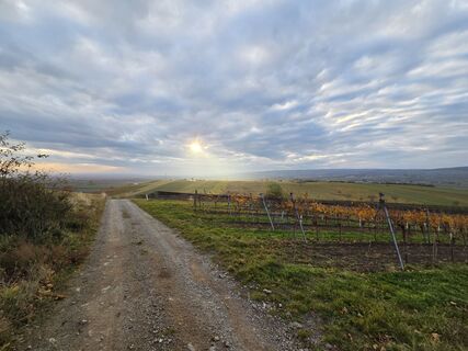 Foto von Thomas Hillinger entlang der Tour