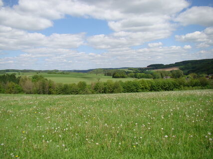 Zemljevid