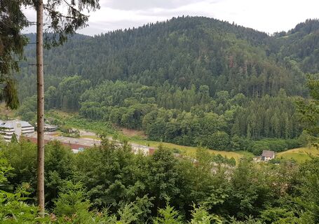 Oberhalb Vor Leubach, Schiltach