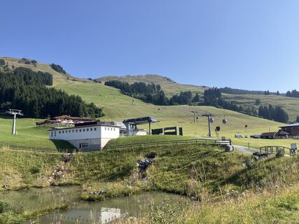 Photo de fleibu le long du parcours