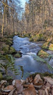Zdjęcie z hochlandfamilie wzdłuż trasy