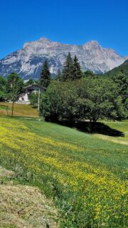 col d'Allos mt 2244