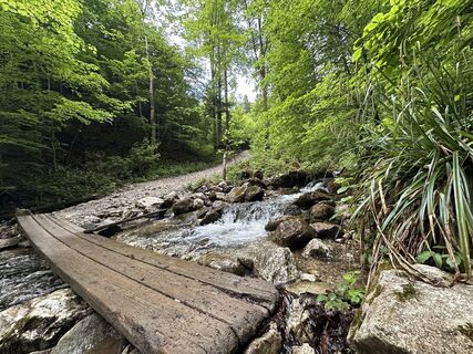 Foto van Dani Geiger / Natur_erleben_dg langs de tour