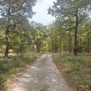 Fotografie z Petra Klarl na trase