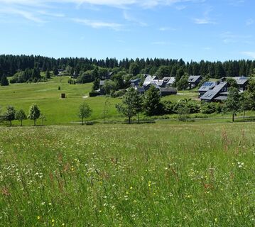 Bergwiesen um Friedrichshöhe