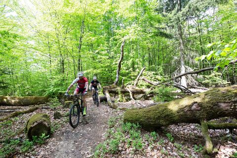 Mountainbiker auf der Pur