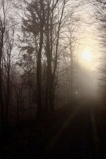 Foto de TallWanderBilly a lo largo del recorrido