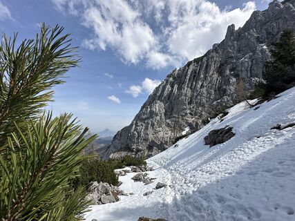 Fotografia z Dani Geiger / Natur_erleben_dg na trase