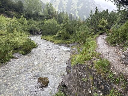 Fotografia z Grizzli na trase