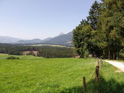 Lengdorf Waldrunde Panorama