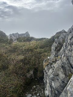 Foto von Carola Krems entlang der Tour