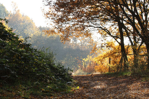 Weg in den Testerbergen