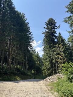 Photo de Heinz Sperl le long du parcours