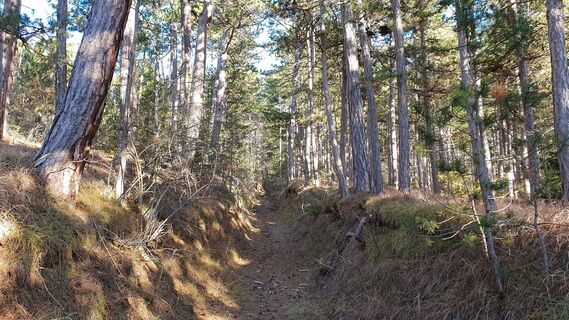 2.0 km Hohlweg uphill