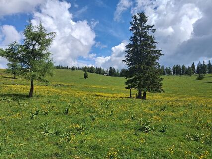 Foto von maria_hochschwab entlang der Tour