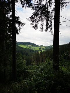 Drei Kirchen-Weg - Blick auf Nonnersdorf