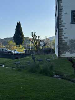 Fotografia z Dimitrinka suranyi na trase