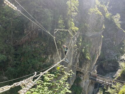 Fotografija s spletne strani pedaklaus na poti